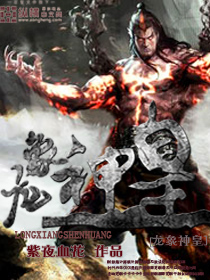 龙象小说